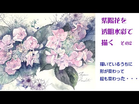 透明水彩で紫陽花を描く～描いているうちに形が変わって絵も変わった