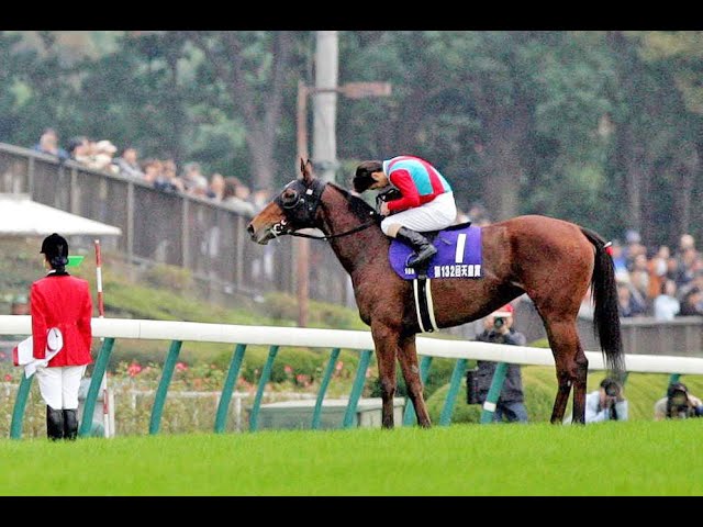 2005 天皇賞秋 GⅠ ヘヴンリーロマンス 松永 幹夫 - YouTube