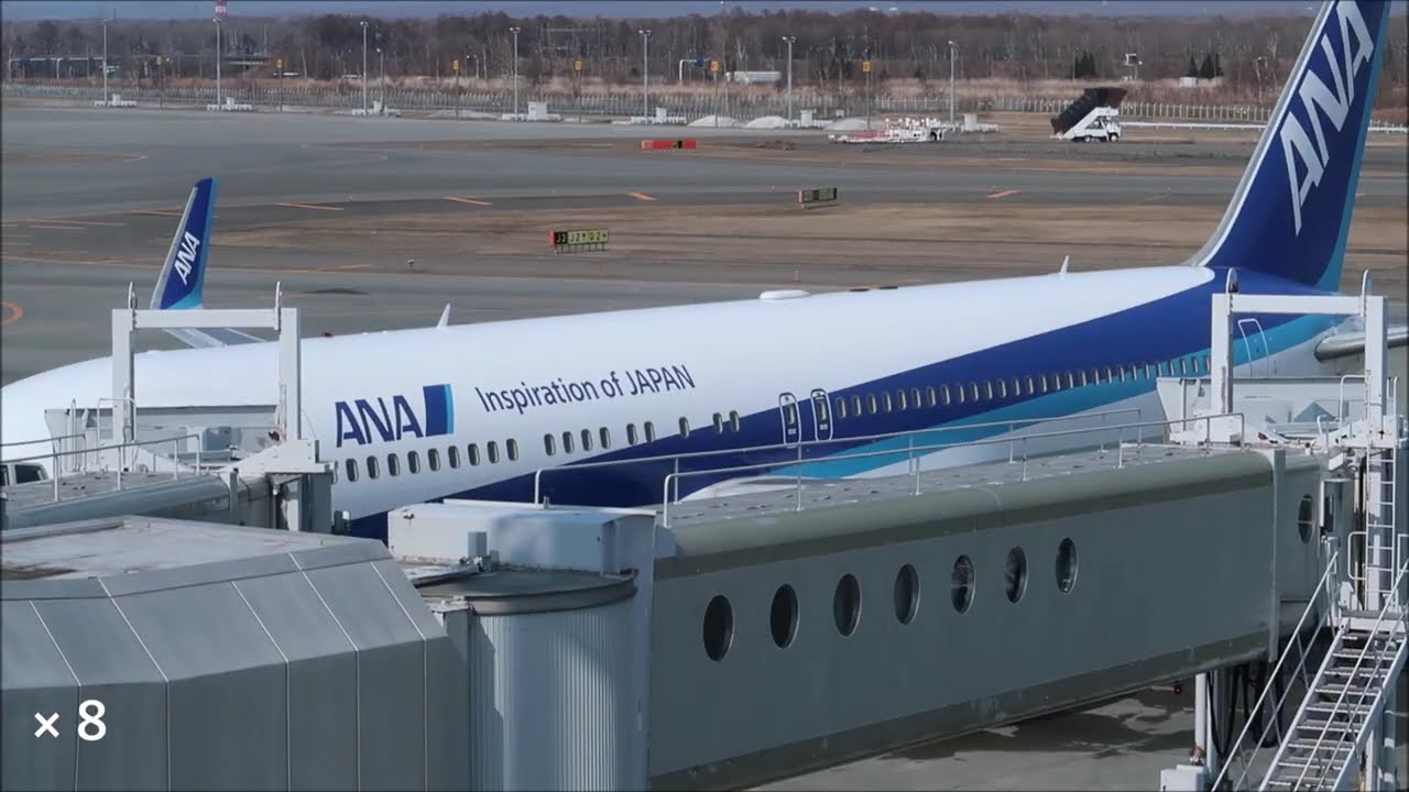 maxresdefault.jpg?sqp=-