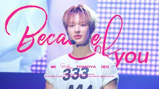 NEXZ TOMOYA」251025 Because of you (Korean Ver.) 토모야 직캠 | One