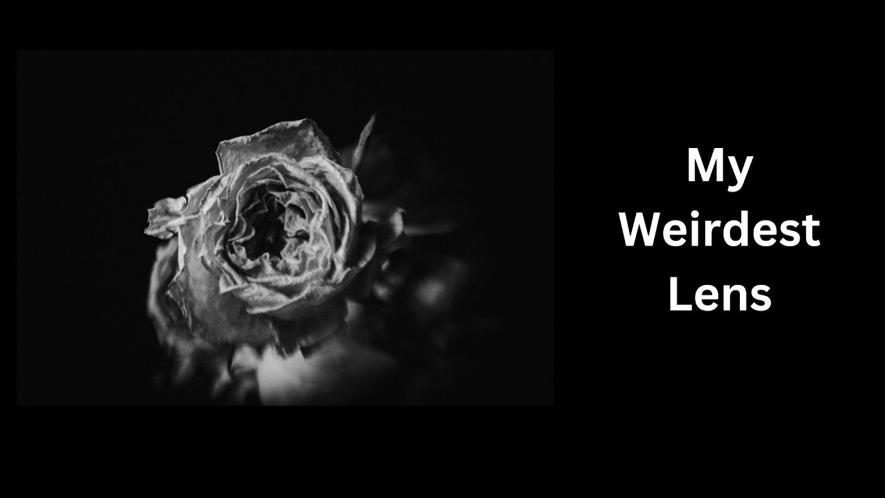 Lensbaby Muse - My Weirdest Lens and Why I Love it. - YouTube