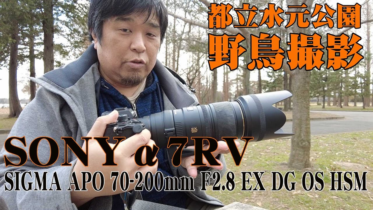 野鳥撮影】SONYα7RV & SIGMA APO 70-200mm F2.8 EX DG OS HSM SONY A