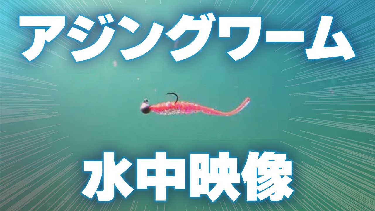 アジング】秋の離島に新作ワーム持ってギガから豆まで狙ってみました