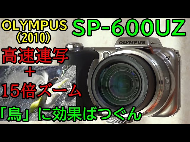 ヤフオク】ジャンク SP-600UZ 動作検証・作例 ただの高倍率じゃない