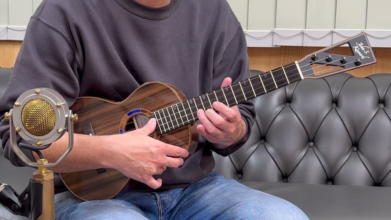 アコギ ギター アンプ キャビネット シダー ココボロ ハカランダ