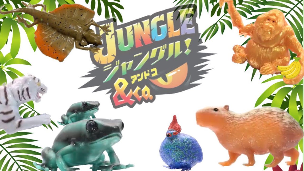 When we opened the new [Jungle & CO Complete Set], the brothers