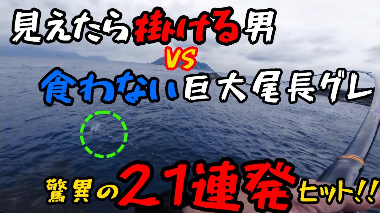 尾長グレを見て掛ける！21連発を生んだ読みと技＠鵜来島 - YouTube