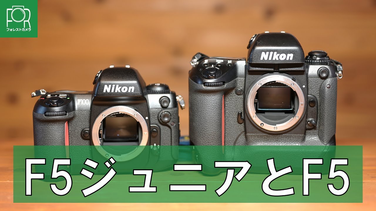 最強フィルムカメラ】カメラ専門店がNikon F5を徹底解説【フラッグ