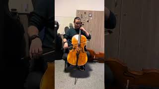 Montagnana Cello 4/4 - Hand-Made in Romania by Vivarius - YouTube