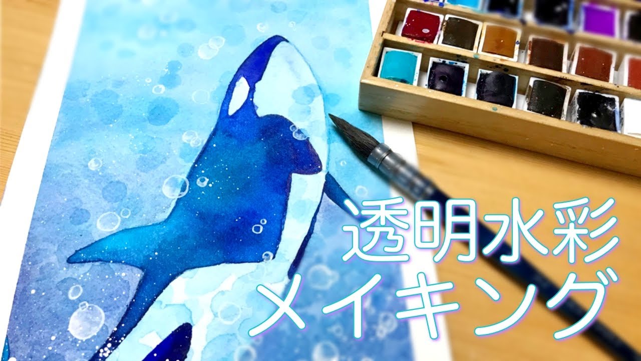 透明水彩絵の具でシャチを描く｜メイキング｜Draw a orca with