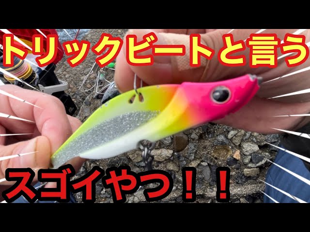 大阪湾青物祭り！激渋の朝に1人勝ち！？牙を連発させた凄いルアーが