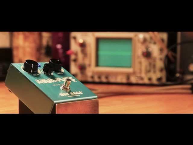 Way Huge Aqua Puss Analog Delay: Slapback & Feedback