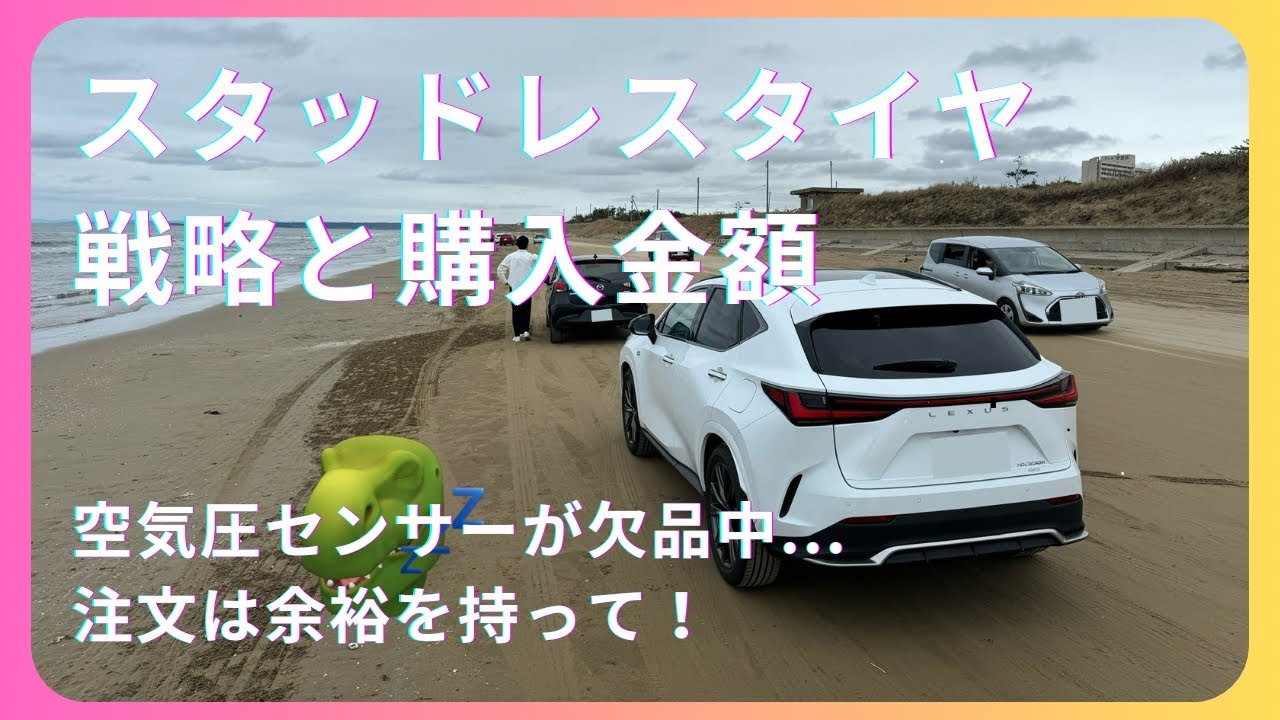 レクサスNX】スタッドレスタイヤ購入_戦略と金額は空気圧センサーが