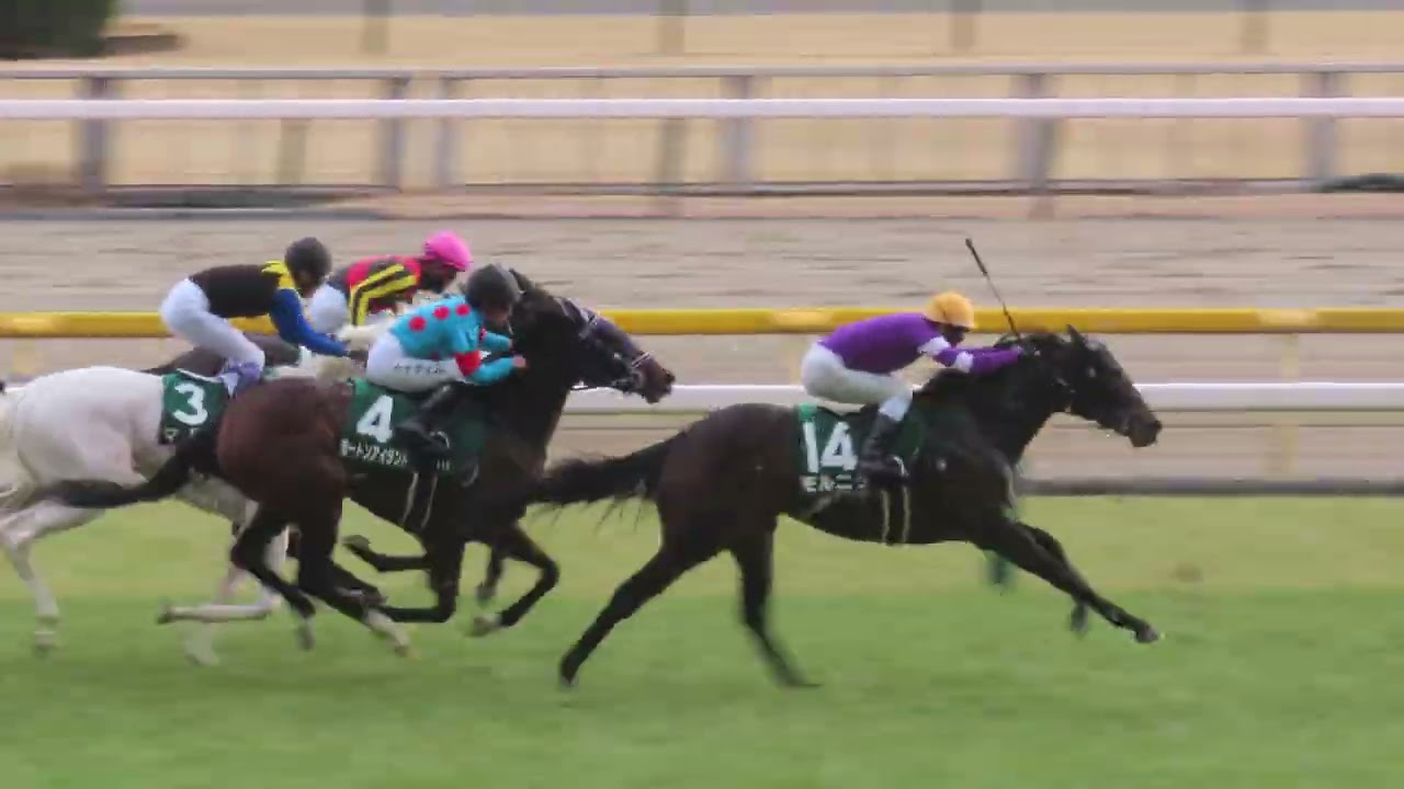 2000 Kikuka Sho (GⅠ) | Air Shakkar | JRA Official - YouTube