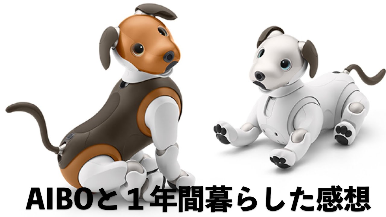 The results of living with AIBO for a year!!! - YouTube