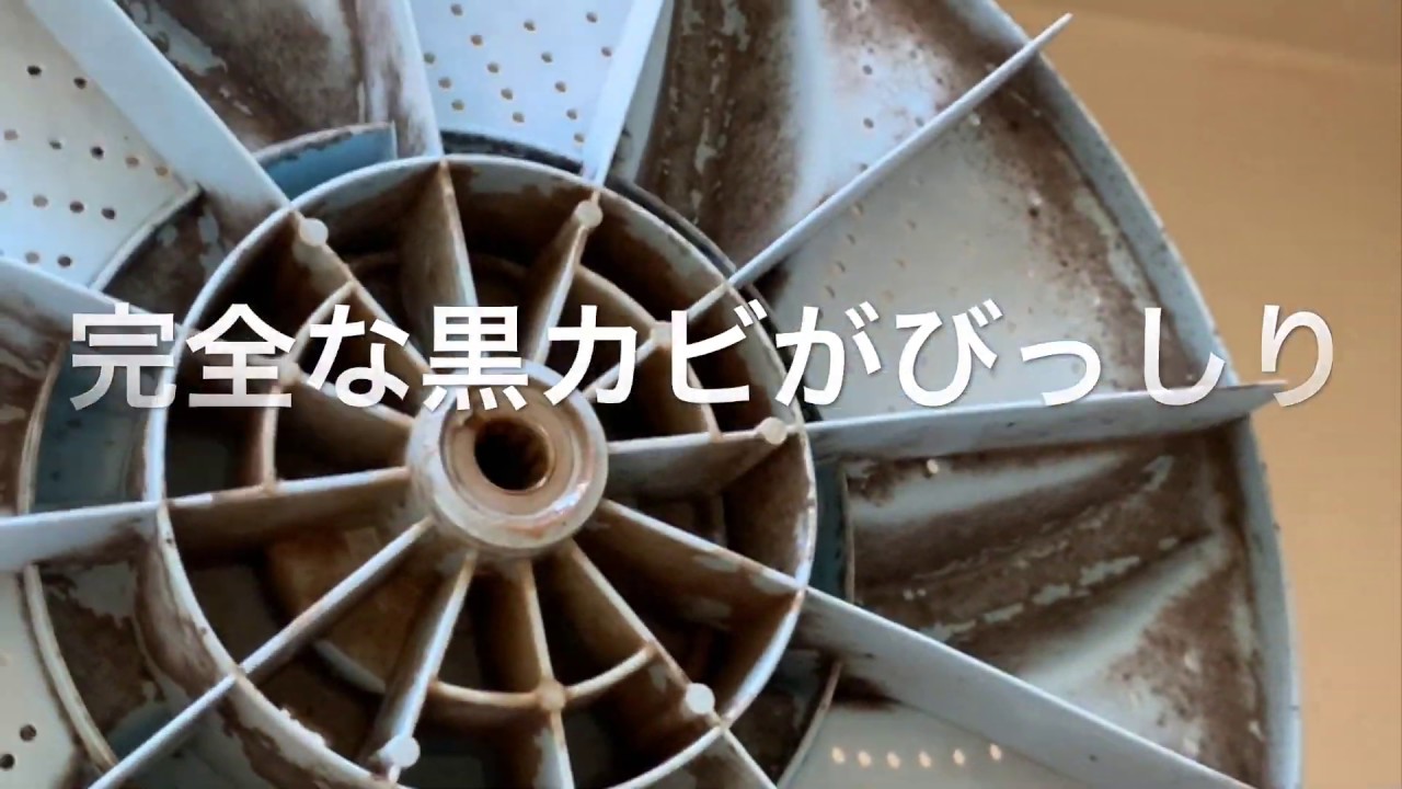 maxresdefault.jpg?sqp=-