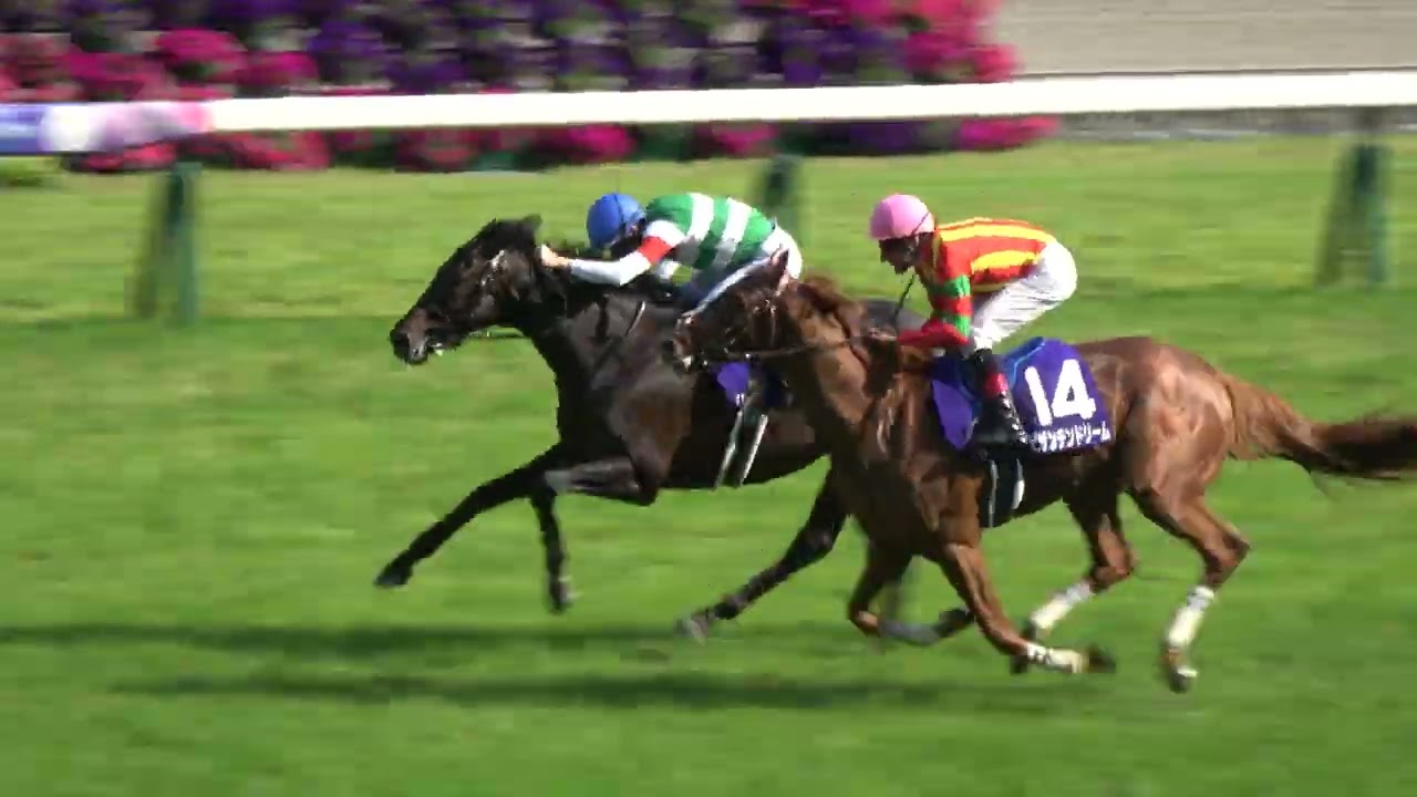 maxresdefault.jpg?sqp=-