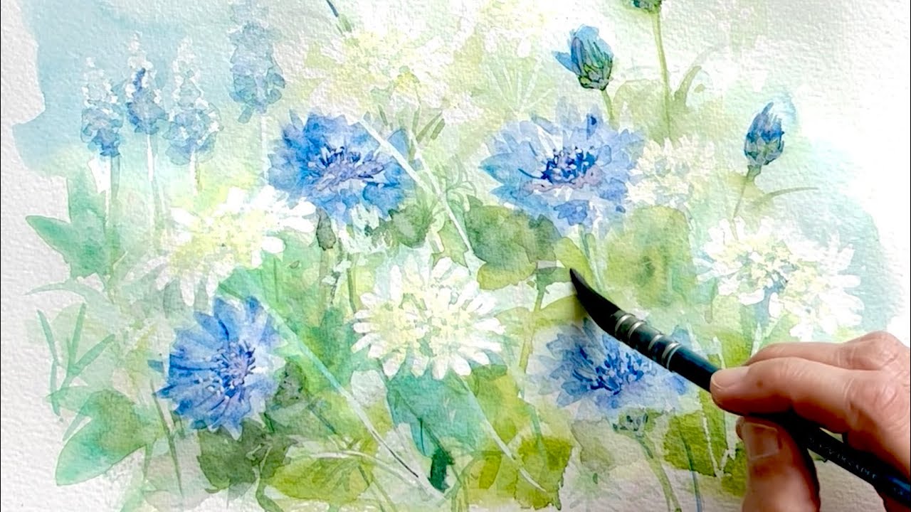 水彩画]5月の元気なヤグルマギクとオルレアを水彩ガッシュで描く