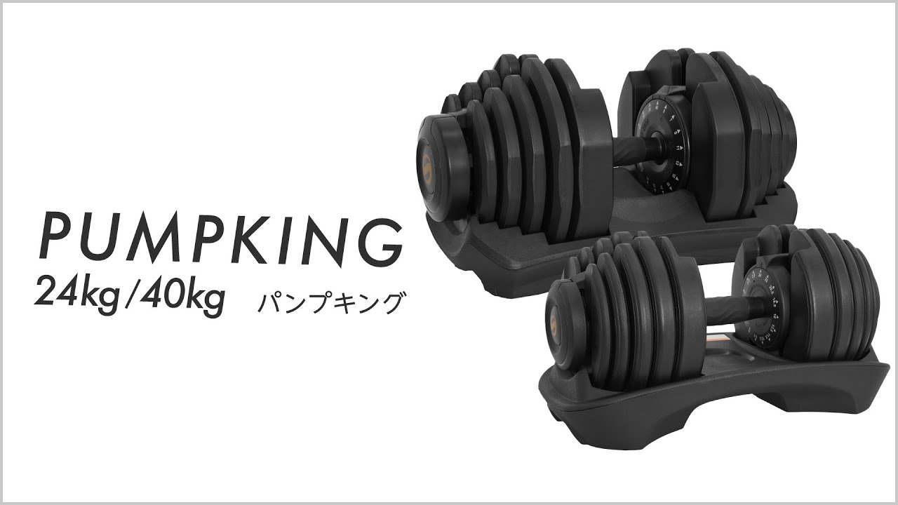 年に一度の総決算セールFINAL！】【新発売】【1年保証】 ライシン