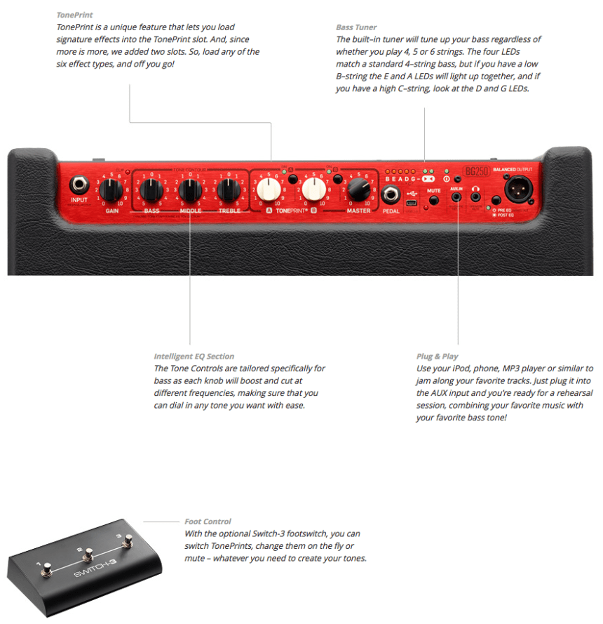 T.C. Electronics BG250-112 Bass | ChasingGuitars