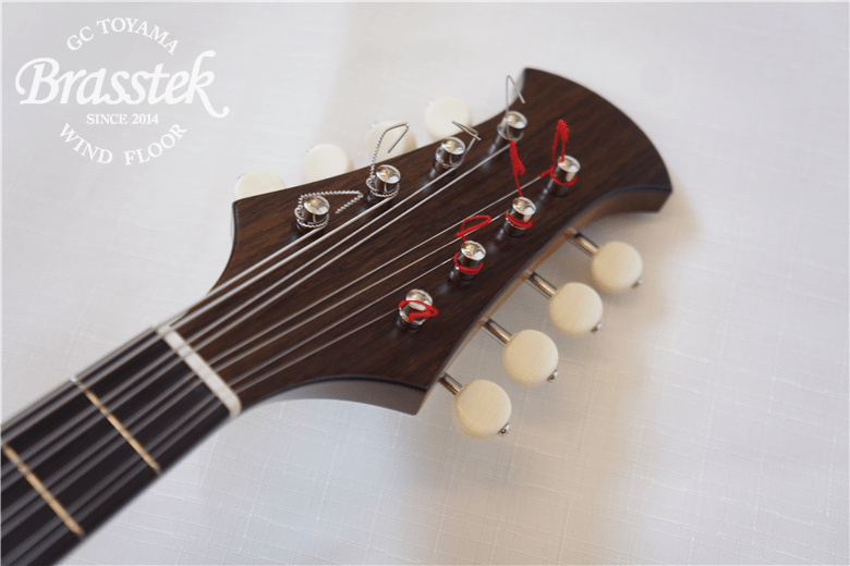 MIYANO Mandolin M-2 | 管楽器専門店 Brasstek 富山 | MPC楽器センター富山