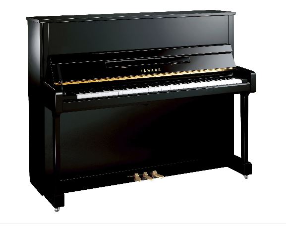 b121.jpg?resize=577,456&ssl=1