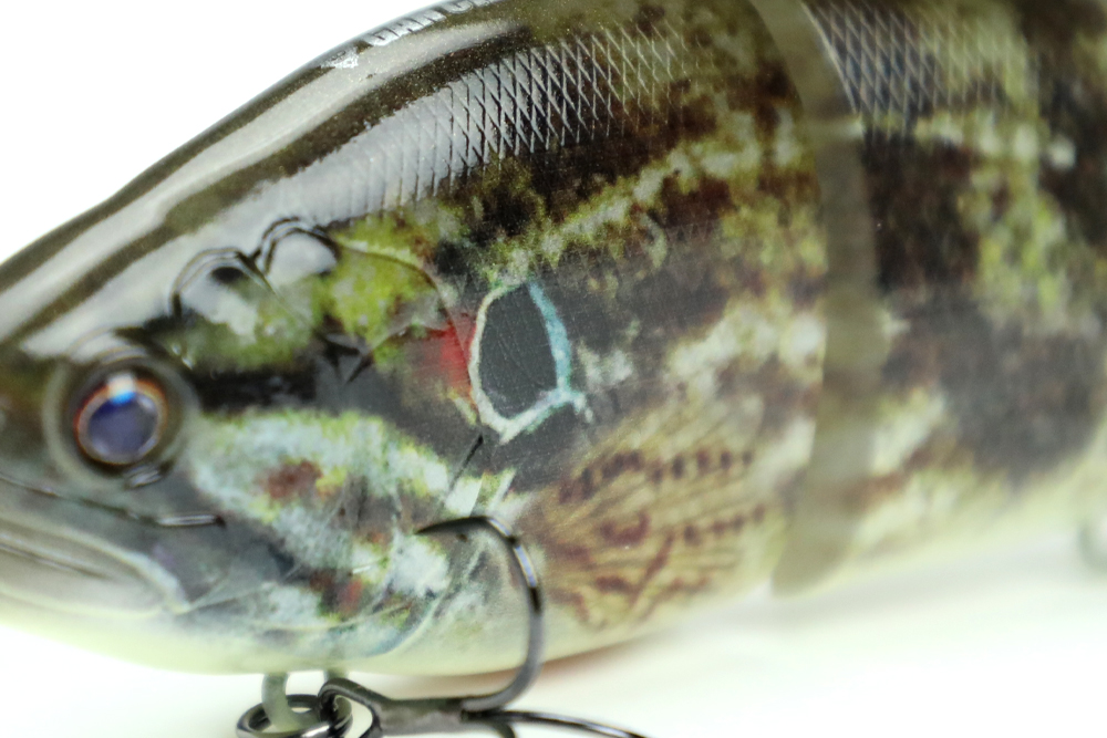 6月17日（月）13:00まで】今度はオヤニラミだ！REALIVE FINISHシリーズ