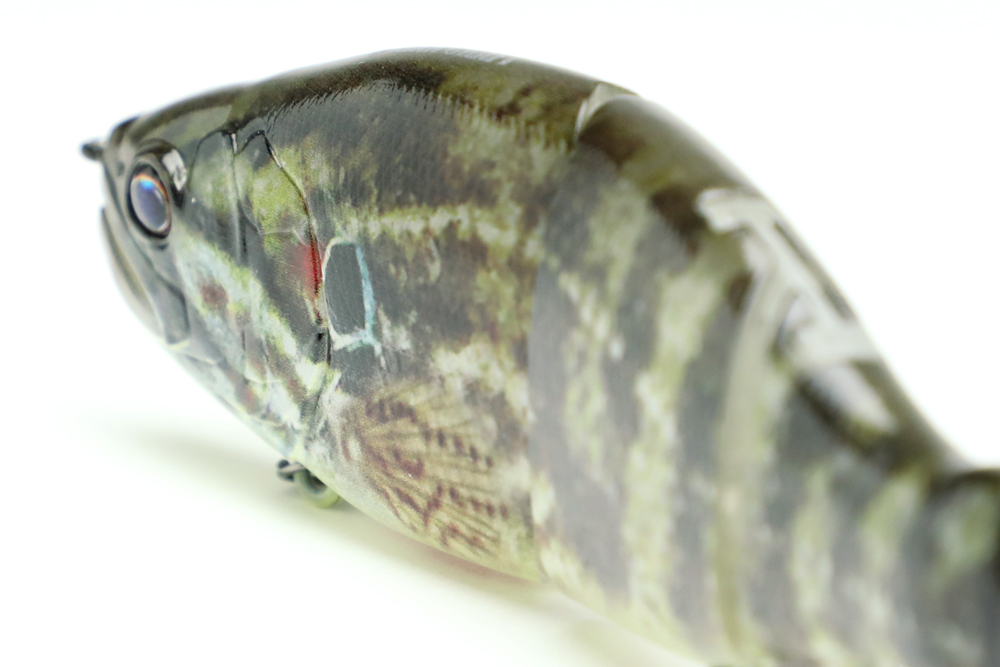 6月17日（月）13:00まで】今度はオヤニラミだ！REALIVE FINISHシリーズ