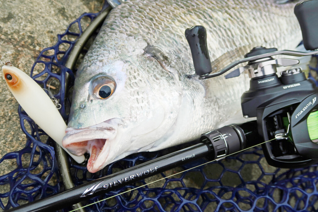 シルバーウルフ EX】チニングロッドの最高峰モデルに秘められた魅力を