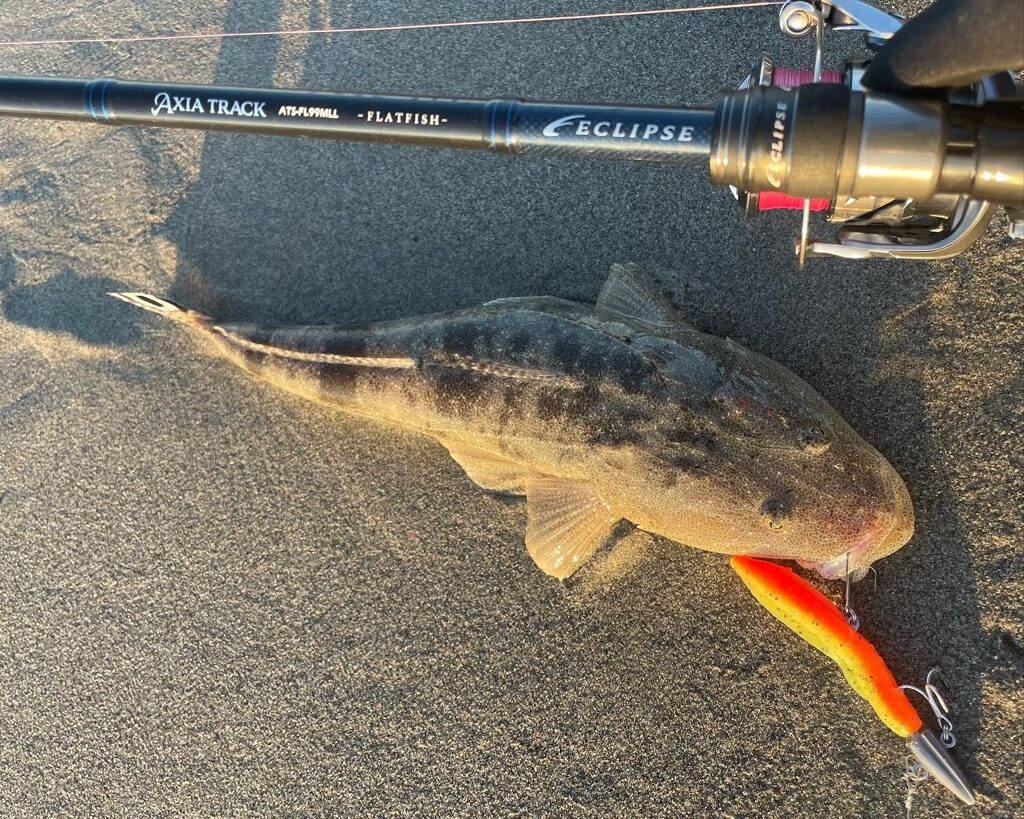 サーフフィネススタイルにも完全対応！エクリプスのサーフ専用ロッド