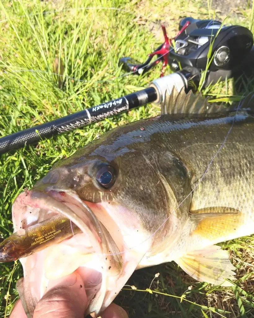 いよいよ発売開始となったフィッシュマン「BC4 6.10MXH」の魅力に迫る