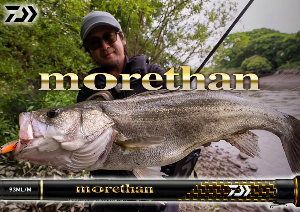 まさに“王道”と呼べるスタンダードなシーバスロッドの理想形。NEW