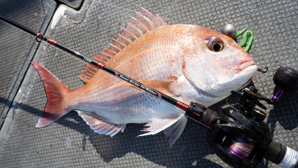 最初の1本に】これからタイラバを始めるならハイコスパ、高感度は外せ