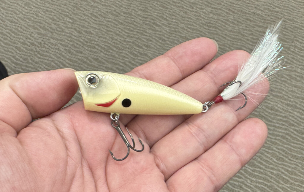 ダイワDAIWA2025年・バスルアー新製品】新作バス釣りルアー18個を一挙