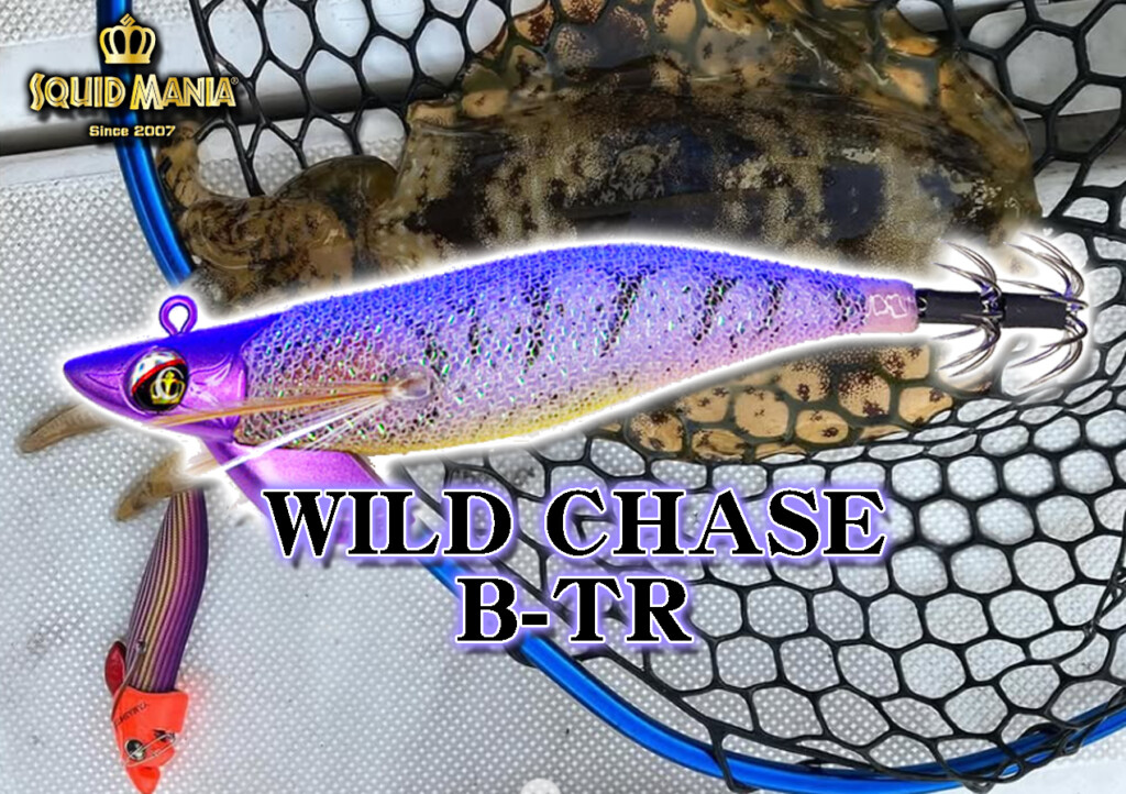 エギングのプロショップが考えたボートエギング専用エギ！スクイッド