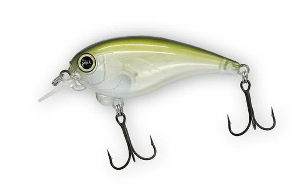 サラモア SaraMoa】加藤誠司のレヴォニックから新型フラットサイド