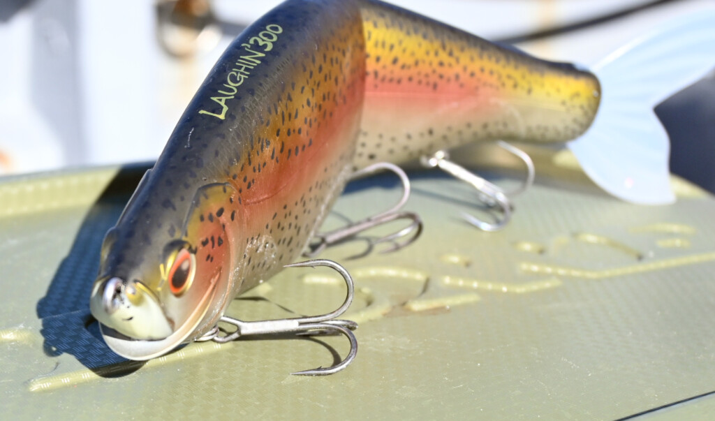 きっと、最高に親しみやすく使って楽しいジャイアントベイトになるハズ