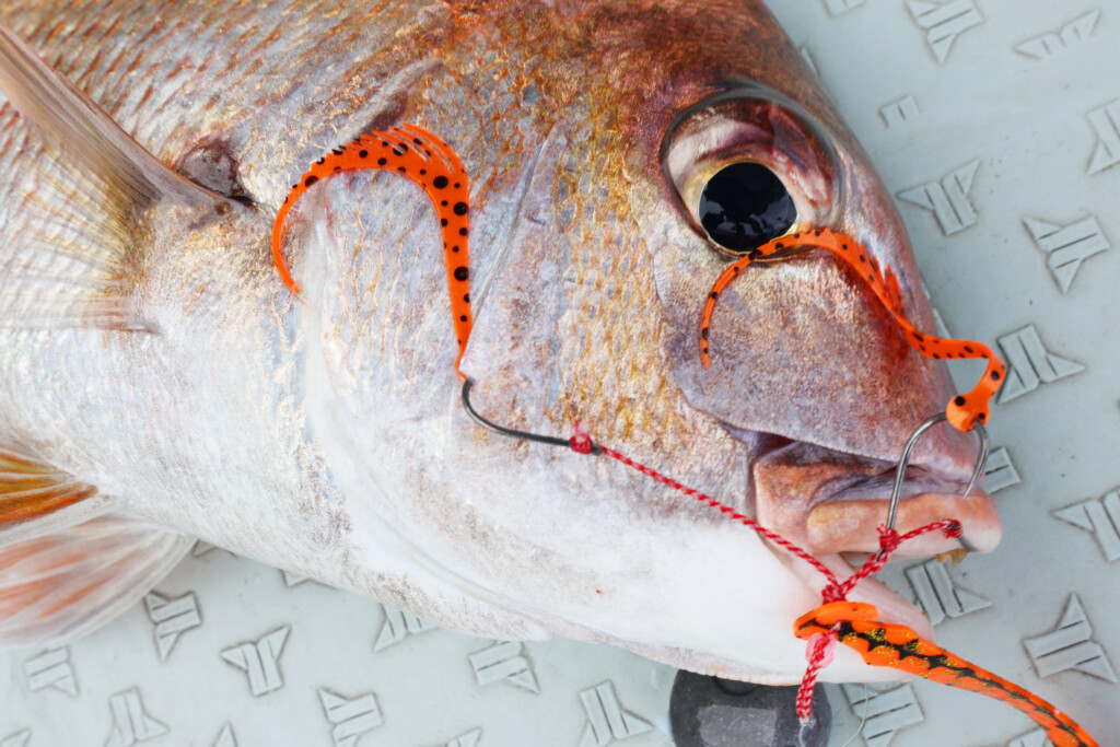 275A4566.jpg?resize=1024,683&ssl=1