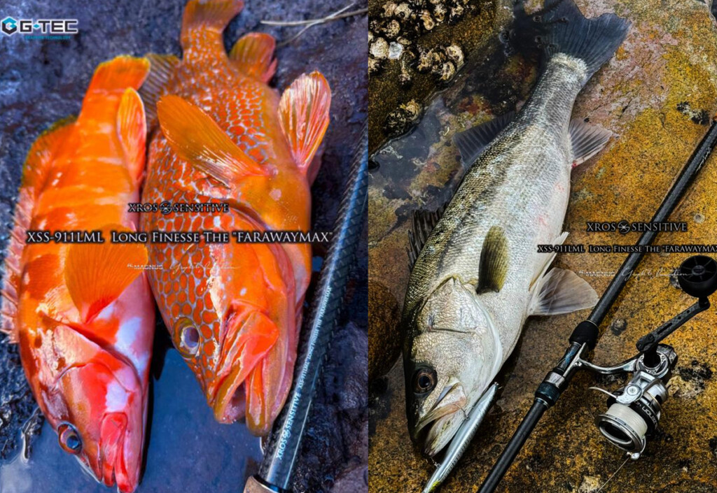 発売直前情報】G-TECスピニング第5弾！初のロングスピニング「XSS