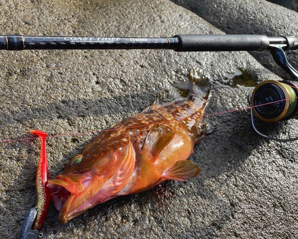 ハイコスパ！思う存分攻め倒せるショアジギングロッド「コーストシーフ