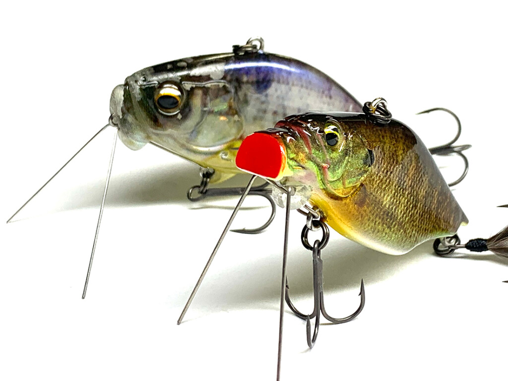 今江克隆のルアーニュースクラブR「新しい世界が見えた！次世代