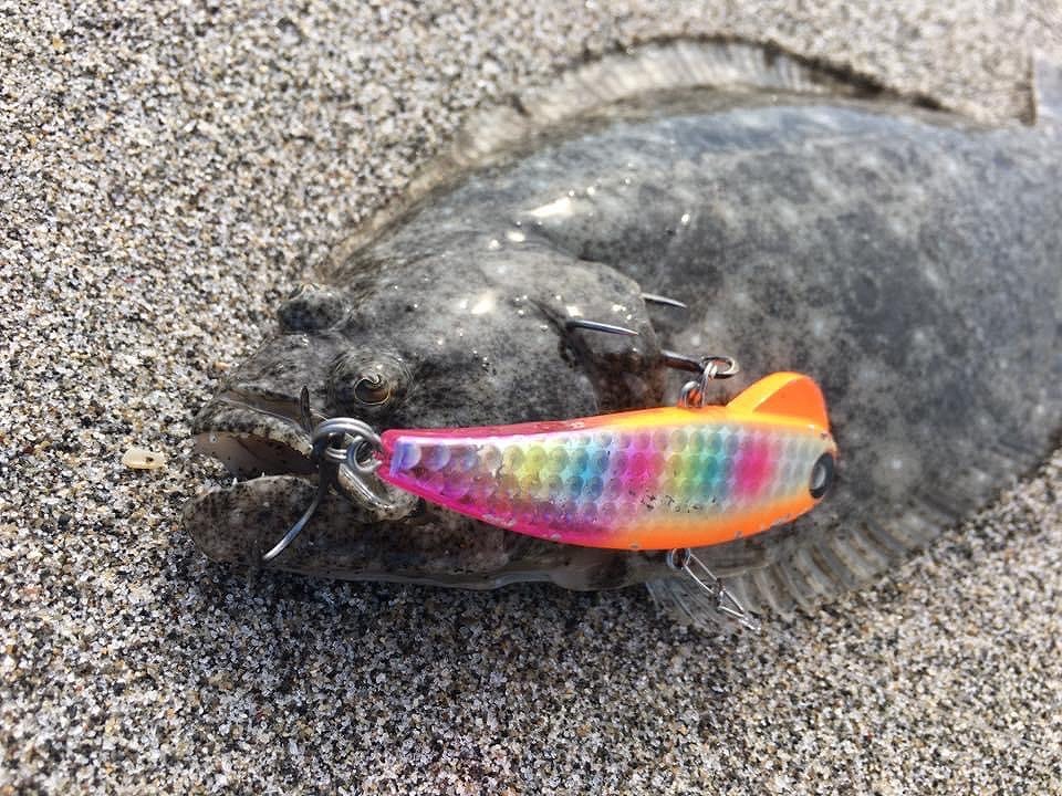 サーフゲームに新たな一手！バイブレーションで狙うフラットフィッシュ