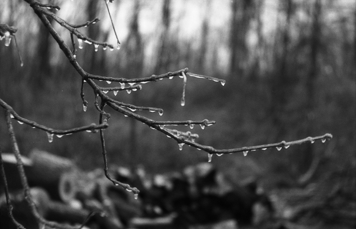 film-008-800.jpg?ssl=1