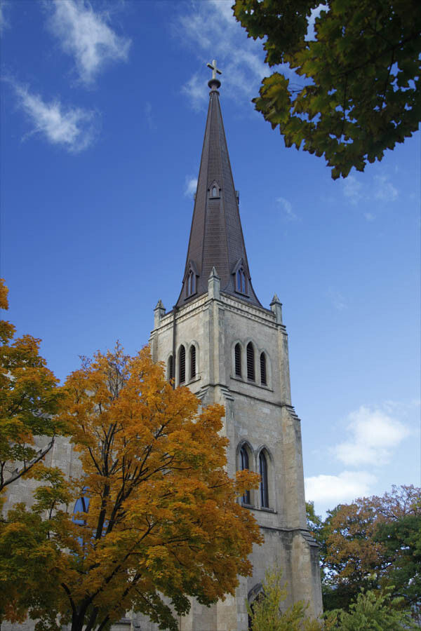 Writer's Favorite Lens - the Tamron 18-270mm