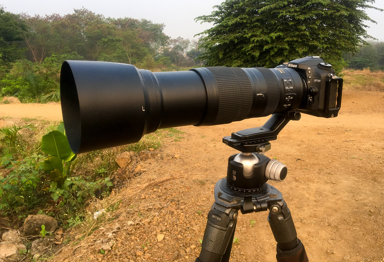 Nikon 200-500mm f/5.6 Review: The Most Versatile Wildlife Lens You