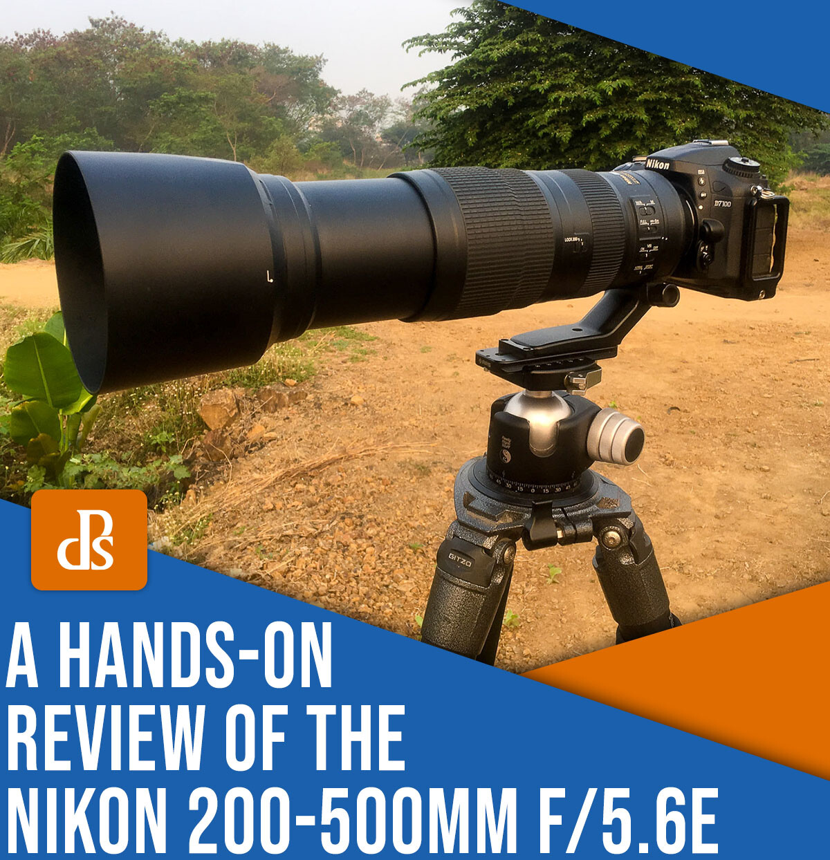 Nikon 200-500mm f/5.6 Review: The Most Versatile Wildlife Lens You