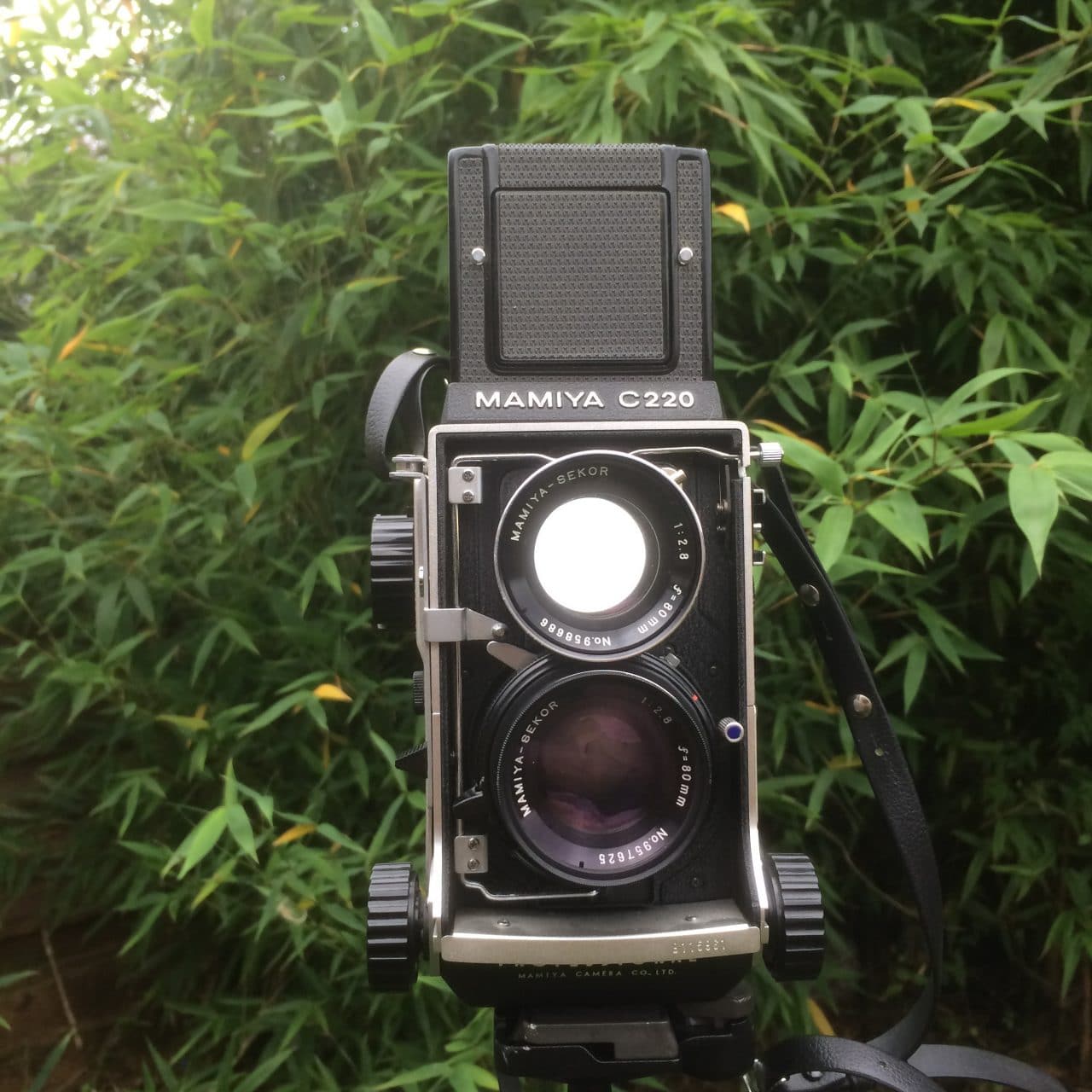 Camera review: Mamiya C220 Professional TLR - EMULSIVE