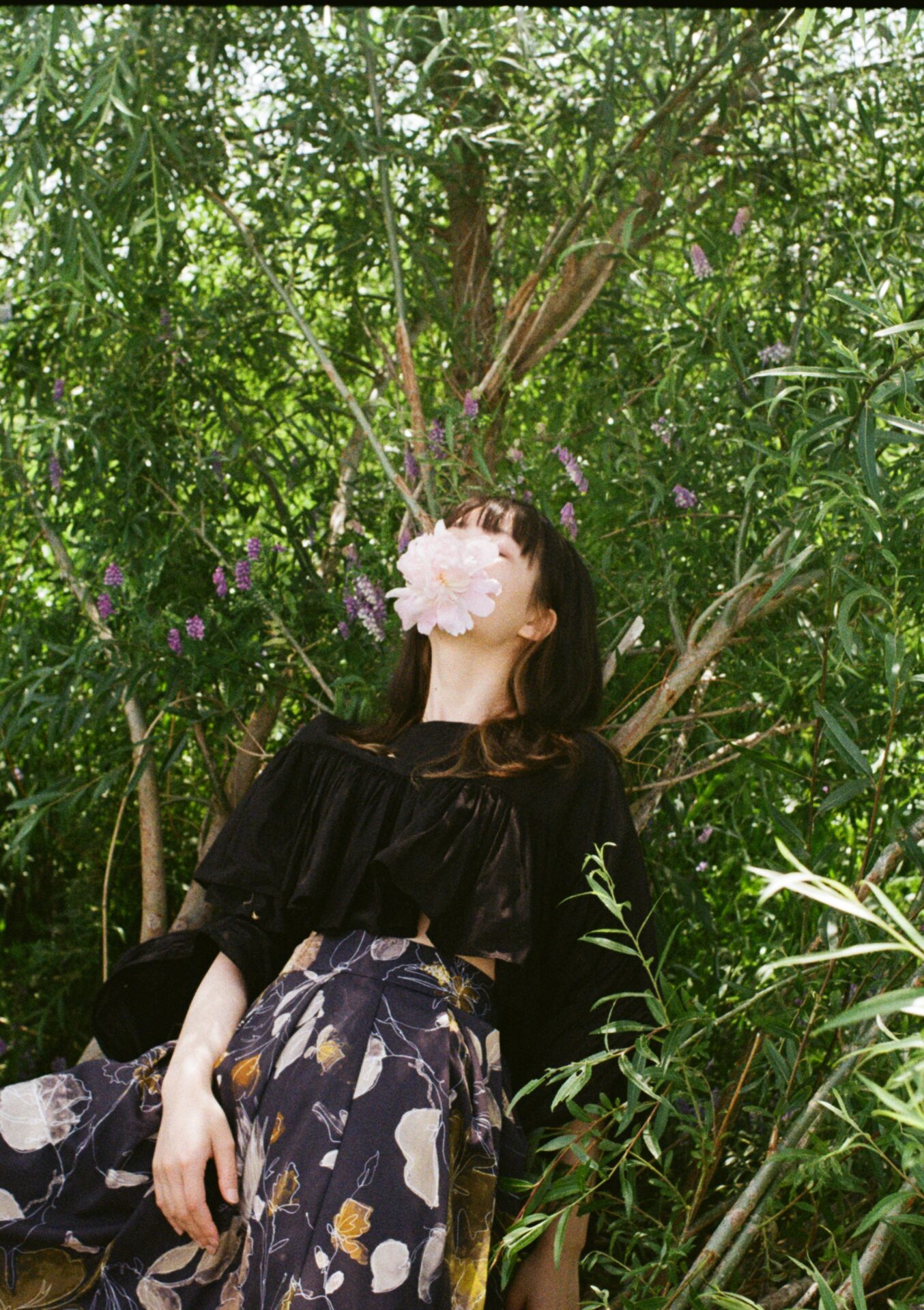 作例レビュー】Konica AUTOREX｜コニカのフィルムカメラ｜#わたしの