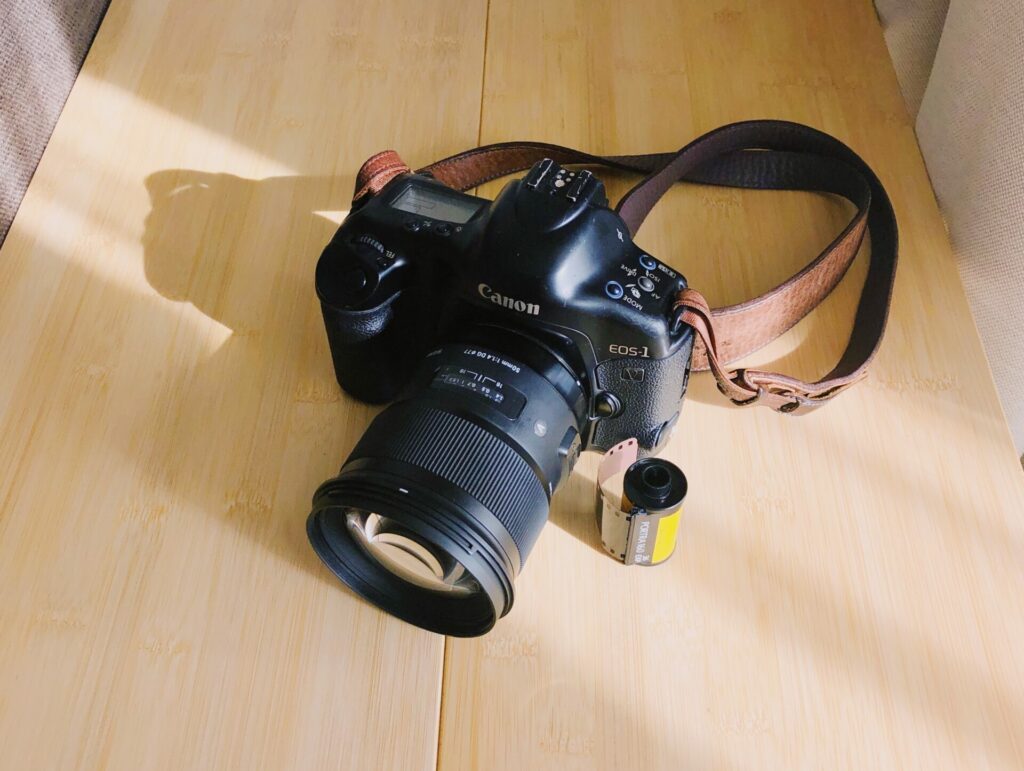 作例レビュー】Canon EOS 1V｜キャノンのフィルムカメラ｜#わたしの