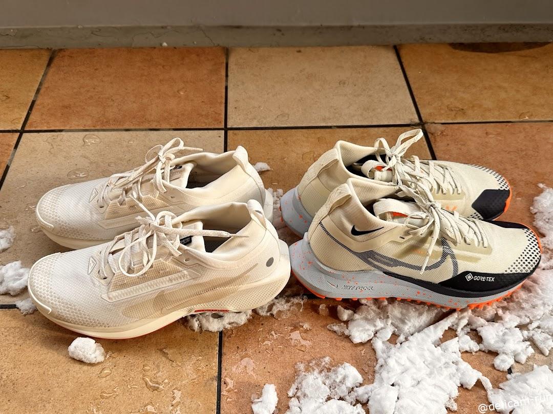 ナイキ ペガサストレイル5ゴアテックスレビュー！雪道ランニングでの